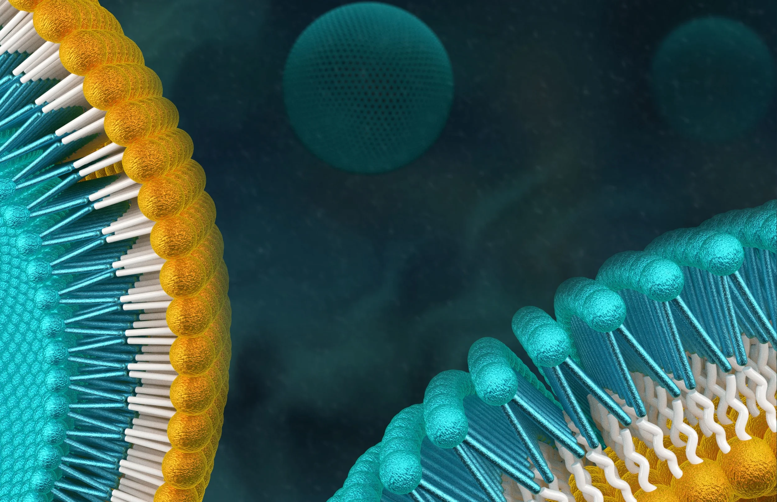 A tale of two leaflets